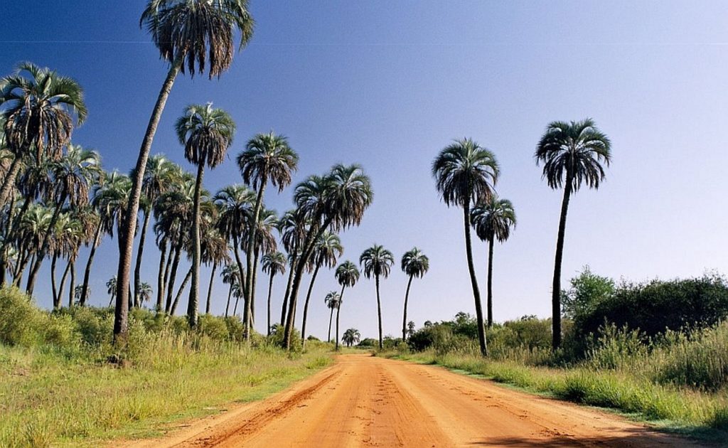 Cabañas comodidades y precios